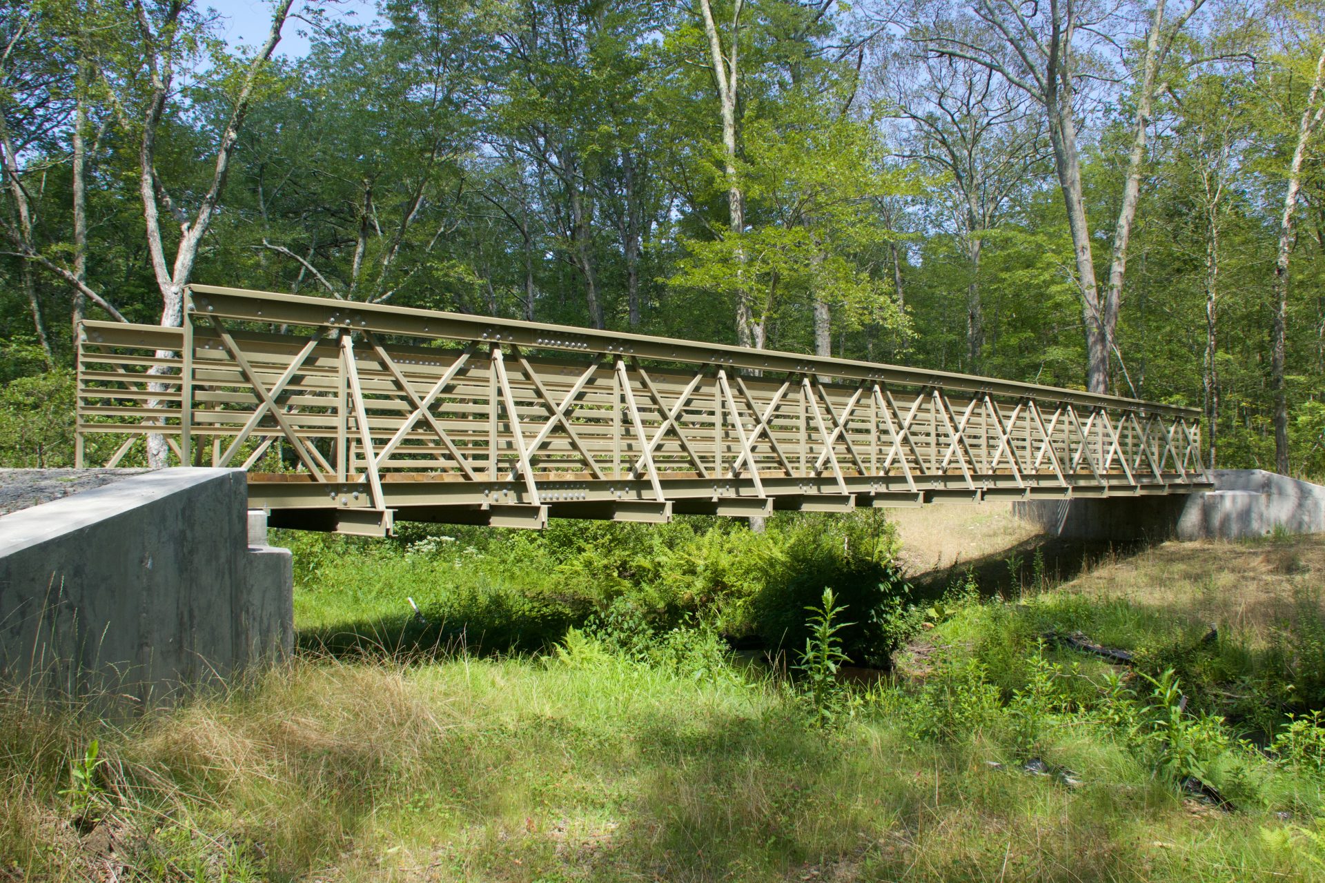 Fiberglass Pedestrian Bridges